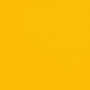 Sunflower Yellow
